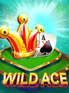 Descubra WildAce: O Novo Sensação do Mundo dos Jogos com 552X